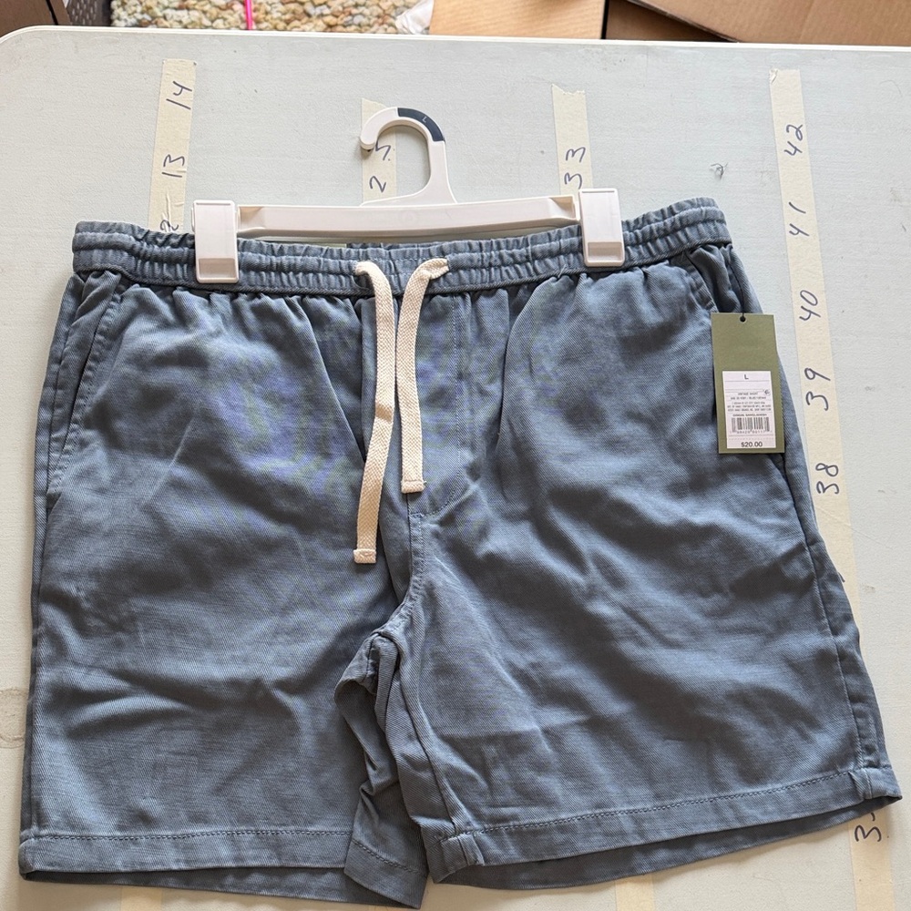 Goodfellow & Co Men's Athletic Shorts in Blue